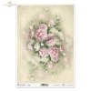 peonia, piwonia, peonie, piwonie, ogród, łąka, bukiety, flowers, buds, leaves, peony, peonies, garden, meadow, bouquets, Blumen, Knospen, Blätter, Pfingstrosen, Garten, Wiese, Sträuße, flores, capullos, hojas, peonías, jardín, prado, ramos
